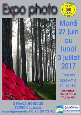 Affiche expo 2017
